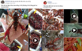 Cấm biên và tìm diệt: Mối nguy từ Trung Quốc vài ngày nữa lại về