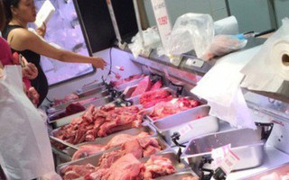 Thu mua lợn sạch, cấp đông thịt để đối phó dịch tả lợn châu Phi