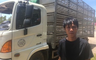 "Hôi vịt" trên xe tải bị lật ở Quảng Bình: "Có người bắt đến chục con, lái xe chạy theo van xin mà không được"