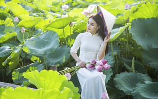 Những đầm sen tuyệt đẹp quanh Hà Nội nhất định phải check-in một lần
