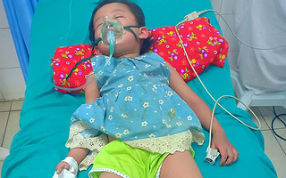 Em bé 3 tuổi ở Tuyên Quang sốc phản vệ sau 5 phút bị kiến đốt