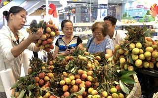 Ngay tại Bắc Giang, vải tươi loại 1 mua tại vườn đã 70.000 đồng/kg!