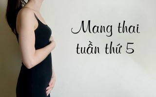 Mang thai tuần thứ 5: Em bé của bạn có kích thước chỉ như một hạt táo