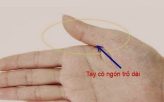 Phụ nữ sở hữu tướng tay này, càng lớn tuổi càng có nhiều phúc khí, sau 40 tuổi trời định mang mệnh thiếu phu nhân, giàu có viên mãn