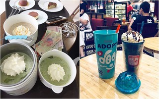 Chuỗi cà phê nổi tiếng đăng ưu đãi "khủng", khách bê hẳn... cặp lồng, tô canh đến cửa hàng đựng đồ uống