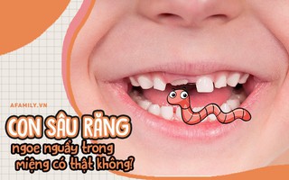 Mẹ ơi, vì sao thế? Sâu răng liệu có phải là con sâu ngoe nguẩy đang đục khoét trong miệng?