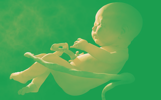 2 em bé chỉnh sửa gene từng gây tranh cãi dữ dội tại Trung Quốc đang có nguy cơ chết sớm
