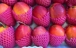 Diệt sâu bọ sang chảnh: Mận khổng lồ, đào Hàn Quốc bạc triệu vẫn cháy hàng Tết Đoan Ngọ