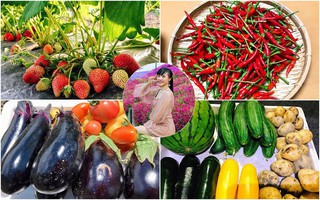Khu vườn nhỏ phủ kín rau quả sạch tốt tươi của nàng dâu Việt ở Nhật Bản