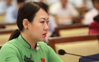 Đại biểu hiến kế dùng lu chống ngập: "Tôi rất buồn"