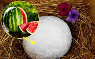 Chuyện thật như đùa: Bảo quản dưa hấu đến nửa năm vẫn tươi ngon, cách làm cực dễ!