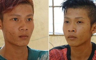 Anh em song sinh siết cổ, đập đầu tài xế taxi cướp tài sản