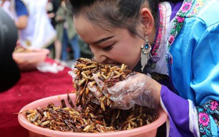 Tìm ra "món ăn" có thể chống được bệnh ung thư, rất dễ kiếm, có sẵn trong tự nhiên nhưng ít ai ngờ tới