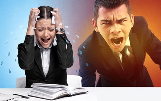 Rất yêu công việc nhưng ghét sếp? Đây là 4 điều chị em cần làm trước khi rơi vào bế tắc ở chốn công sở
