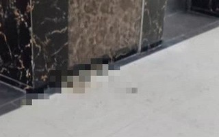 Hà Nội: Nhiều cư dân bức xúc khi cô gái say rượu bất ngờ nôn ra sảnh thang máy