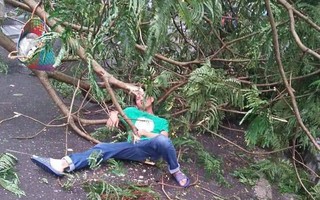 Ảnh hưởng của bão số 2, mưa giông ngã cây đè 1 người bị thương ở Hà Nội