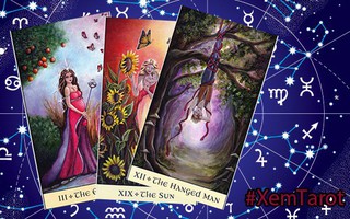 Rút một lá bài Tarot đại diện cho cung Hoàng đạo của bạn để biết con đường công danh sự nghiệp của bạn sẽ ra sao trong tháng 7 này