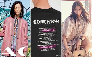 Sau Versace, lại đến Coach dính "phốt" tại Trung Quốc: Liu Wen lo sốt vó, fan Quan Hiểu Đồng lại mừng húm