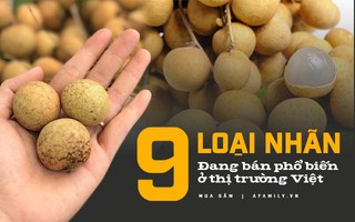 Có đến 9 loại nhãn hiện nay đang bán trên thị trường, giá loại đắt nhất lên tới 200 nghìn/kg