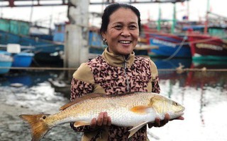 Ngư dân bắt được cặp cá nghi quý hiếm, 1kg bong bóng có giá 1 tỷ đồng