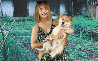 Bị phản đối kịch liệt, yêu cầu đổi vai của chó Nhật trong "Cậu Vàng", đạo diễn vẫn kiên quyết không làm 