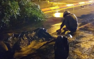 Người thân gào khóc bên thi thể nam thanh niên bị cây ngã đè trúng ở Hà Nội: "Lúc chiều nó còn bảo đi mua quyển sách rồi về"