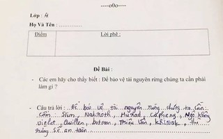 Cười nghiêng ngả với học sinh đưa tên nhân vật trò chơi vào bài kiểm tra về bảo vệ rừng