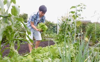 Gia đình Việt ở Nhật: Ông bố kỹ sư dành thời gian thuê đất, phủ kín bằng rau quả sạch cho vợ con thỏa nỗi nhớ quê hương 