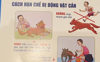 Bộ Y tế: Nguy cơ tử vong cao nếu không tiêm vắc xin phòng dại sau khi bị động vật cắn 