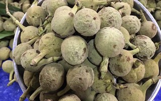 Quả rừng lạ về Hà Thành, đặc sản màu đen nấu bát canh mất 1 tiếng