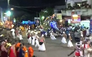 Voi bị đánh nổi điên làm 18 người bị thương