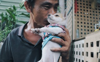 Gặp lại anh đánh giày câm và "người bạn" từng gây xúc động mạng xã hội: Bích La đã mất, chú chó mù chẳng còn ở bên anh câm nữa...