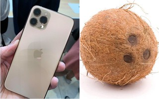 iPhone 11 vừa ra mắt, hội chị em tấm tắc khen màu sắc "chuẩn bánh bèo" nhưng cụm camera lại là một trò đùa hài hước 