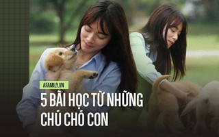 Không chỉ "vui nhà vui cửa", nuôi chó còn giúp dân công sở có được 5 bài học quý báu trong công việc