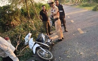 Bị cây bạch đàn đè trúng, một nữ sinh Hải Dương thiệt mạng