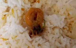 Đặt cơm mực xào online và cái kết khi nhận được hàng khiến cô gái cười không được, khóc cũng chẳng xong