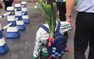 Bỏ 1 thứ vào balo trong ngày đầu tiên cháu trai đến trường, ông nội khiến dân mạng "bái phục" vì độ thâm sâu