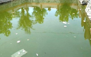 Bé trai ngã xuống ao tử vong khi chạy theo mẹ đi mua hàng