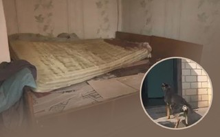Phẫn uất sau nhiều năm bị bạo hành, vợ sát hại chồng rồi cắt "của quý" ném cho chó ăn