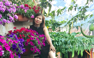 Mẹ đảm cải tạo sân bê tông thành khu vườn với bạt ngàn rau củ quả tươi tốt