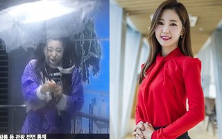 Bão Ling Ling đổ bộ Hàn Quốc gây thiệt hại lớn, đài MBC cử ngay MC xinh đẹp làm clip giả định bị gió quật tơi bời "gây sốt" cộng đồng mạng