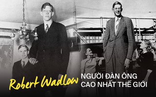 Cuộc đời kì lạ và bi thảm của người đàn ông cao nhất thế giới: Nổi tiếng khắp nơi nhưng ra đi ở tuổi 22 vì một vết nhiễm trùng nhỏ