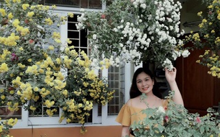 Ngôi nhà ngập tràn hoa đua nhau khoe sắc đón xuân mới của cô giáo trẻ ở Vĩnh Phúc