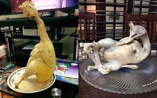 Những siêu phẩm gà cúng trước thềm Tết âm lịch trong mọi tư thế, thái độ khiến dân mạng cười rơi rụng