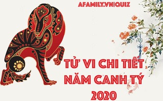 Tử vi chi tiết năm Canh Tý: Tuổi Tuất có những thay đổi tinh tế giúp cuộc sống sang trang mới, tiền tài phúc lộc tề tựu đủ đầy trong năm 2020
