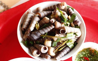 Trúng độc nghi do ăn ốc biển, 1 người chết, 7 người nguy kịch