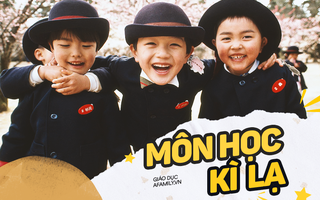8 môn học siêu kỳ quặc ở các trường trên thế giới, Nhật Bản có môn “Ngưỡng mộ thiên nhiên”, nghe thì lạ nhưng học thích mê