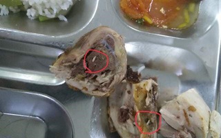 Cơ quan chức năng vào cuộc điều tra vụ suất ăn có giòi ở Bắc Ninh