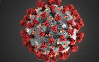 Đón xem buổi trò chuyện trực tiếp với chuyên gia về chủng mới của virus corona vào ngày 5/2