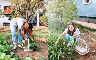 Bị khán giả chỉ trích nặng, Nam Thư phân trần lý do mặc hở hang vào nhà thờ Tổ của Hoài Linh